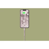 3. Fresh 'n Rebel Kabel USB-C Lightning 2.0m Smokey Pink
