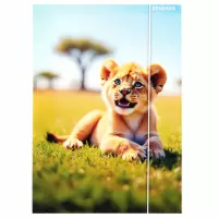 4. Starpak Teczka z Gumką Wild Animals 559729