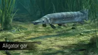 11. Ultimate Fishing Simulator - Amazon River PL (DLC) (PC) (klucz STEAM)