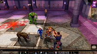 10. Neverwinter Nights: Enhanced Edition PL (PC) (klucz STEAM)