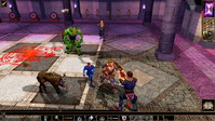 10. Neverwinter Nights: Enhanced Edition PL (PC) (klucz STEAM)