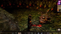 2. Neverwinter Nights: Enhanced Edition PL (PC) (klucz STEAM)