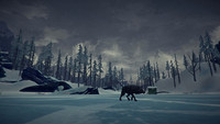 8. The Long Dark (PC/MAC/LX) DIGITAL (klucz STEAM)