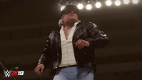 1. WWE 2K19 Wooooo! Edition Pack! DLC (PC) DIGITAL (klucz STEAM)