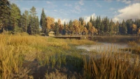 6. theHunter: Call of the Wild™ - Revontuli Coast PL (DLC) (PC) (klucz STEAM)