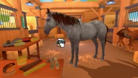 2. Equestrian Training (PC) (klucz STEAM)