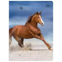 3. Interdruk Zeszyt A5 16 kartek kolorowa 3linia UV Wild Horses 366450