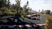 4. WRC 10 FIA World Rally Championship Deluxe Edition PL (PC) (klucz STEAM)