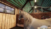 2. Animal Shelter - Horse Shelter PL (DLC) (PC) (klucz STEAM)