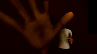 2. 1,000 Heads Among the Trees (klucz STEAM)