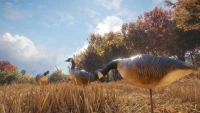 3. theHunter: Call of the Wild™ - Wild Goose Chase Gear PL (DLC) (PC) (klucz STEAM)