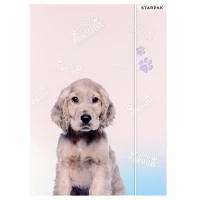 1. Starpak Teczka z Gumką Stay Pawsitive 398150