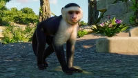 6. Planet Zoo: South America Pack PL (DLC) (PC) (klucz STEAM)