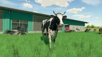 5. Farming Simulator 22 Platinum Edition PL (PC) (klucz STEAM)
