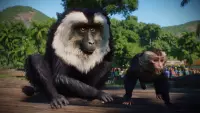8. Planet Zoo: Asia Animal Pack PL (DLC) (PC) (klucz STEAM)