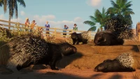 4. Planet Zoo: The Arid Animal Pack PL (DLC) (PC) (klucz STEAM)