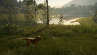 2. theHunter: Call of the Wild™ - Bloodhound PL (DLC) (PC) (klucz STEAM)