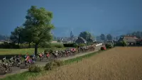5. Pro Cycling Manager 25 (PC) (klucz STEAM)
