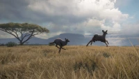 4. theHunter: Call of the Wild™ - Vurhonga Savanna PL (DLC) (PC) (klucz STEAM)