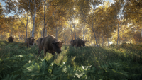 2. theHunter: Call of the Wild (Xbox One)