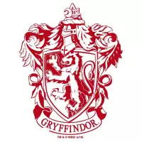 2. Szklanka Harry Potter - Gryffindor