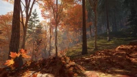 3. theHunter: Call of the Wild™ - New England Mountains PL (DLC) (PC) (klucz STEAM)