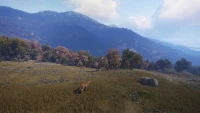 8. theHunter: Call of the Wild™ - Sundarpatan Nepal Hunting Reserve PL (DLC) (PC) (klucz STEAM)