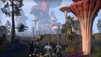 5. The Elder Scrolls Online - Morrowind Standard Edition (PC/MAC) (klucz ESO)