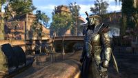 2. The Elder Scrolls Online - Morrowind Digital Collector's Upgrade (PC/MAC) DIGITAL (klucz ESO)