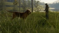 9. theHunter: Call of the Wild™ - Bloodhound PL (DLC) (PC) (klucz STEAM)