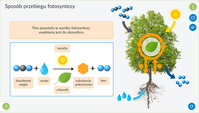 4. Interaktywne Plansze Przyrodnicze: Biologia (kl. 5-8)