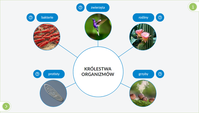 7. Interaktywne Plansze Przyrodnicze: Biologia (kl. 5-8)