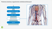 9. Interaktywne Plansze Przyrodnicze: Biologia (kl. 5-8)