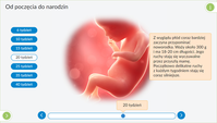 3. Interaktywne Plansze Przyrodnicze: Biologia (kl. 5-8)