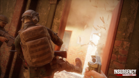 5.  Insurgency: Sandstorm PL (PS4)