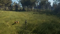 6. theHunter: Call of the Wild™ - Bloodhound PL (DLC) (PC) (klucz STEAM)