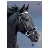 1. Interdruk Zeszyt A5 16 kartek kratka UV Wild Horses 366320