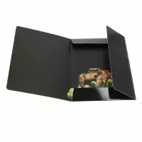 1. Starpak Teczka z Gumką Spider 559732