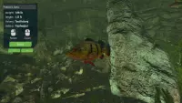 5. Ultimate Fishing Simulator - Aquariums PL (DLC) (PC) (klucz STEAM)
