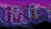 5. Starbound incl. Early Access (PC) (klucz STEAM)