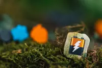 9. Zamiast nas