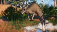 6. Planet Zoo: Australia Pack PL (DLC) (PC) (klucz STEAM)