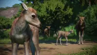 6. Planet Zoo: Asia Animal Pack PL (DLC) (PC) (klucz STEAM)