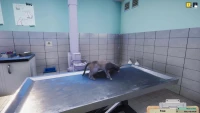 2. Animal Shelter - Vet Clinic PL (DLC) (PC) (klucz STEAM)