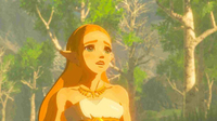 1. The Legend of Zelda: Breath of the Wild (NS)