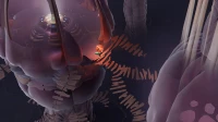 14. Cocoon PL (PS5)