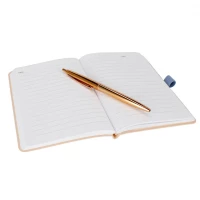 1. Starpak Notes z Długopisem Gold 502017