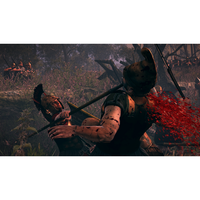 3. Total War: ROME II: Blood & Gore (PC) DIGITAL (klucz STEAM)