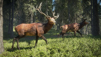 3. theHunter: Call of the Wild PL (PC) (klucz STEAM)