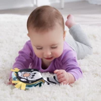 4. Fisher Price Rozkołysana Wyderka 2w1 HXG96 